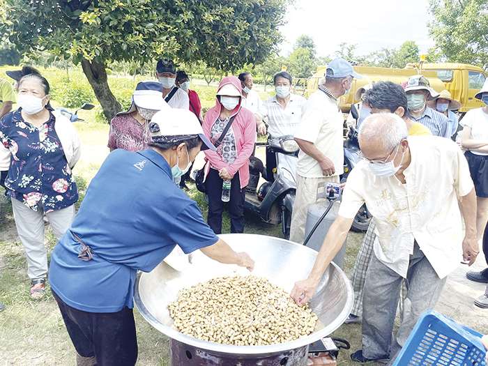 金門縣政府全球資訊網 縣農會與農試所辦理機械化輔助落花生生產觀摩