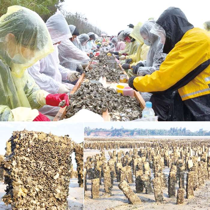 圖片來源：金門縣政府