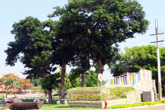 圖片來源：金門縣政府