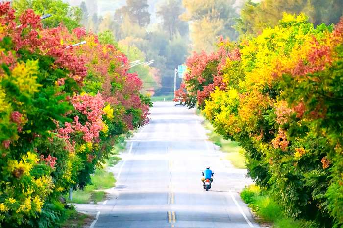 圖片來源：金門縣政府