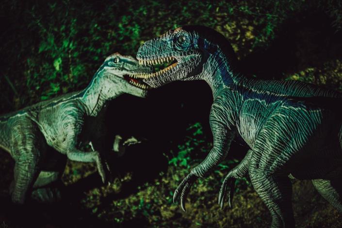 1110801 2022金門星光節在西洪營區展出的擬真恐龍世界，給觀展民眾帶來驚奇之旅。