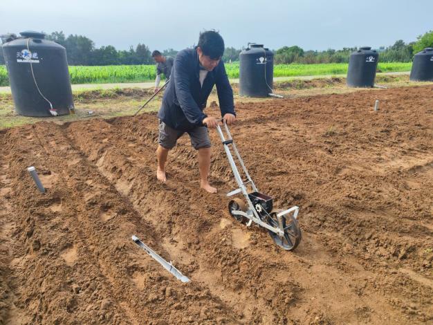 協助種植高粱台中5號