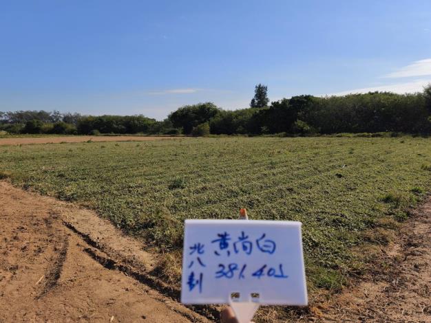 114年11月21日實地查核一條根