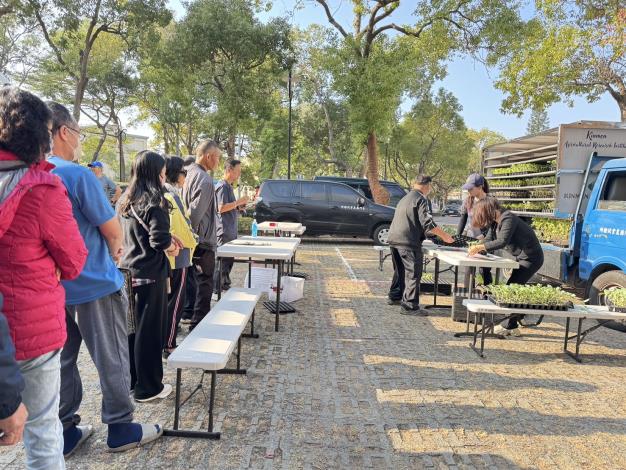 鎮定點價售秋季蔬菜穴盤苗