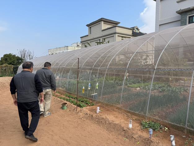 辦理114年度秋季安全蔬果農作獎補助費驗收