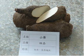 山藥種薯每公斤70元