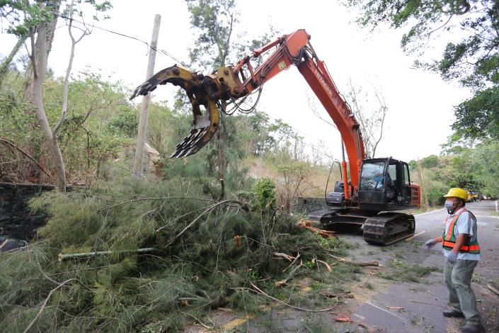 1012- 因應圓規颱風外圍環流影響，各區風倒木災情不斷，林務所風倒木小組接獲通報後馬上處理。