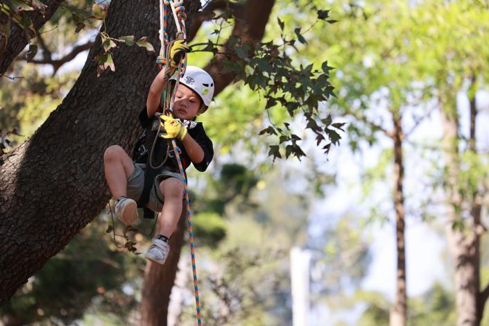 1106-攀樹體驗活動