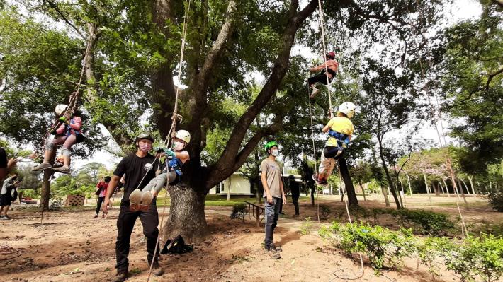 1111015及22辦理受保護樹木環境教育暨攀樹體驗活動-2