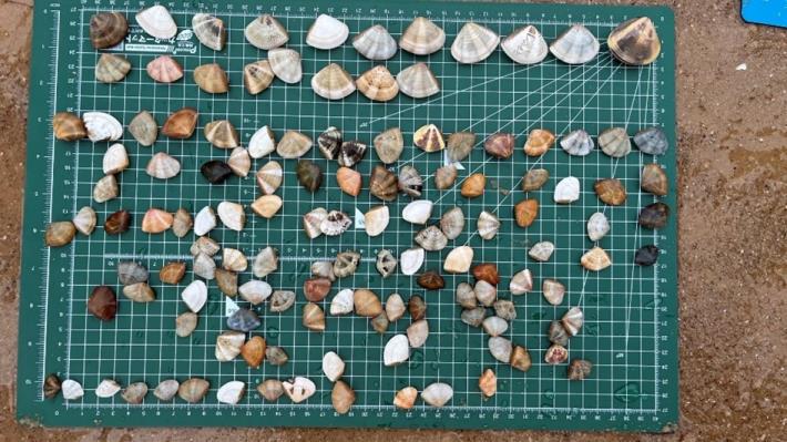 1141019-《從台江內海啟程：棲地經營管理新典範》-2