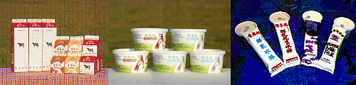 我們的加工及產品：紙盒裝鮮乳，冰棒及冰淇淋