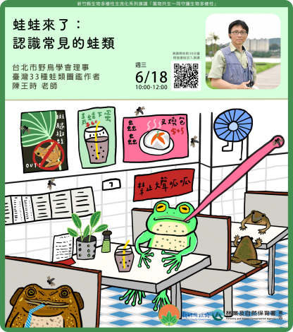 蛙蛙來了認識常見的蛙類