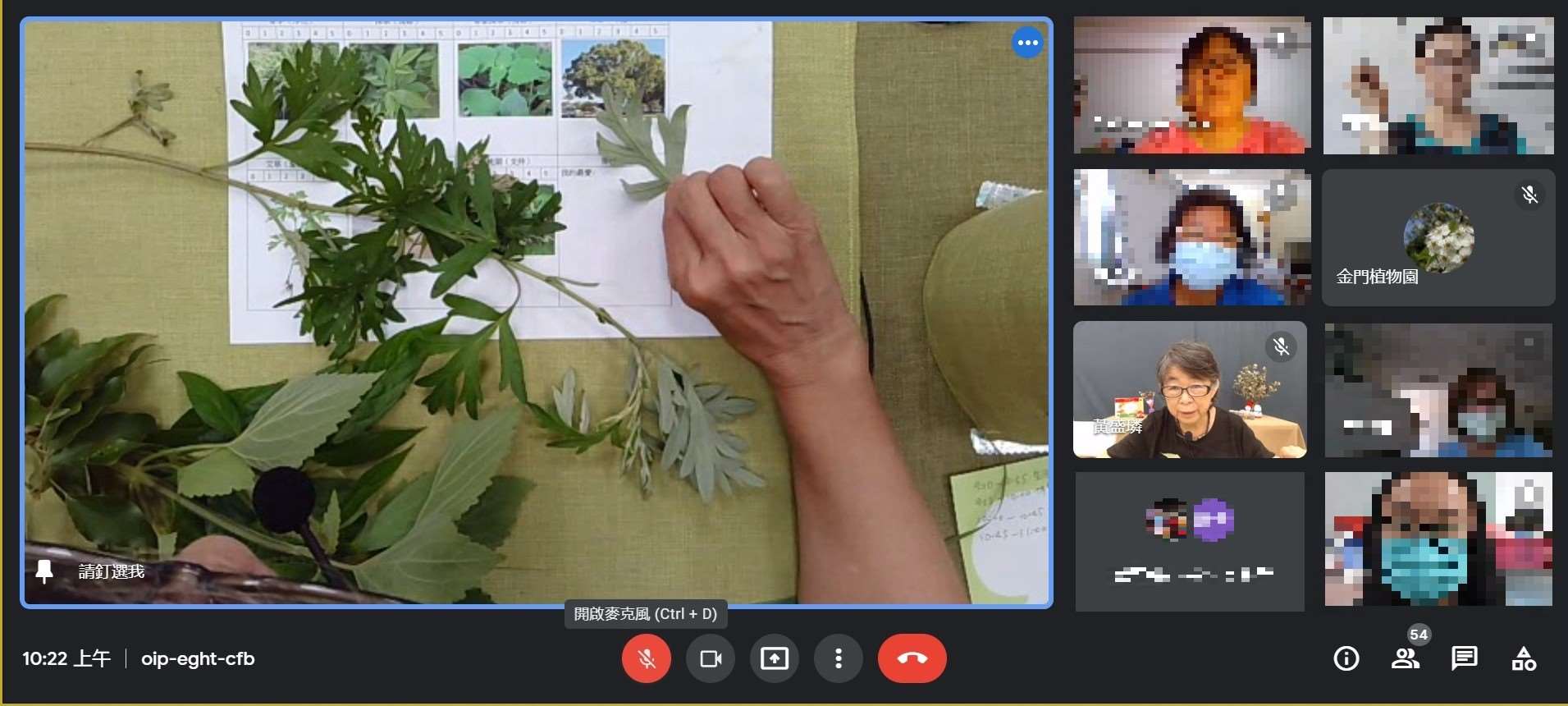 老師介紹平安植物的辨識及應用